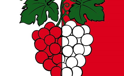 Ecusson Final Drapeau