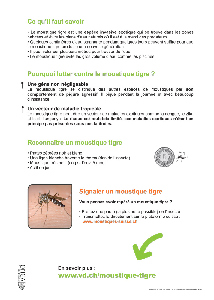 FLYER MOUSTIQUE TIGRE 2025 2