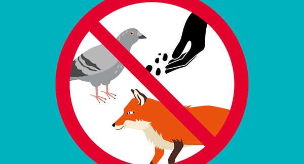 Cover Interdiction Animaux