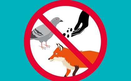 Cover Interdiction Animaux