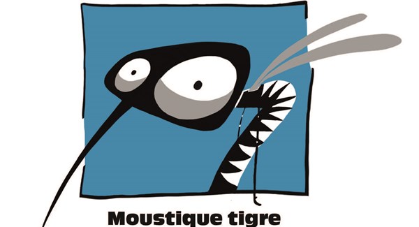 Br Dgs 20 05 Moust Tigre Depli Lay 20 Prod Ppp Web 1