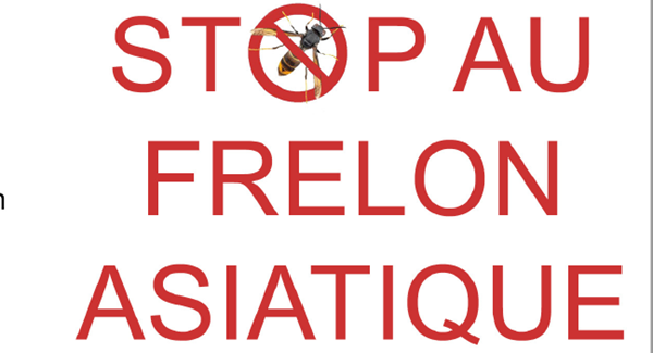 2024 02 09 15 49 25 Frelon Asiatique Dépliant V5cleanedpdf Adobe Acrobat Pro 64 Bit
