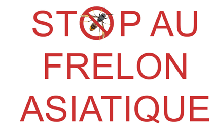2024 02 09 15 49 25 Frelon Asiatique Dépliant V5cleanedpdf Adobe Acrobat Pro 64 Bit