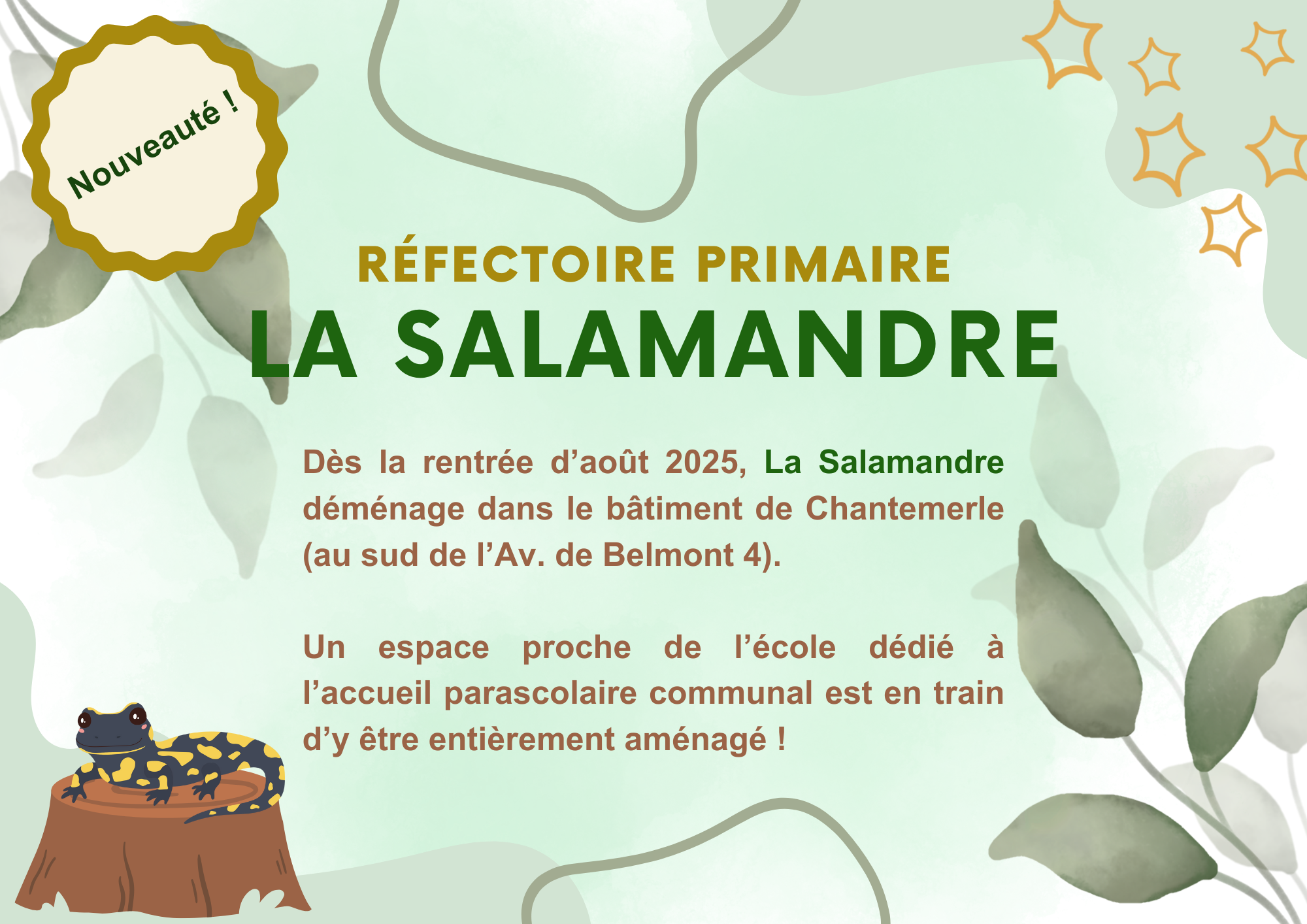 Sdr 2025 Nouveautés