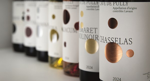 Cavepully 2025 Light