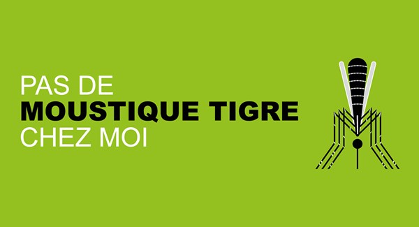Cover Moustiques Tigres