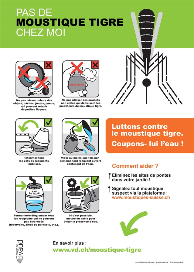 Flyer Moustique Tigre 2025 1