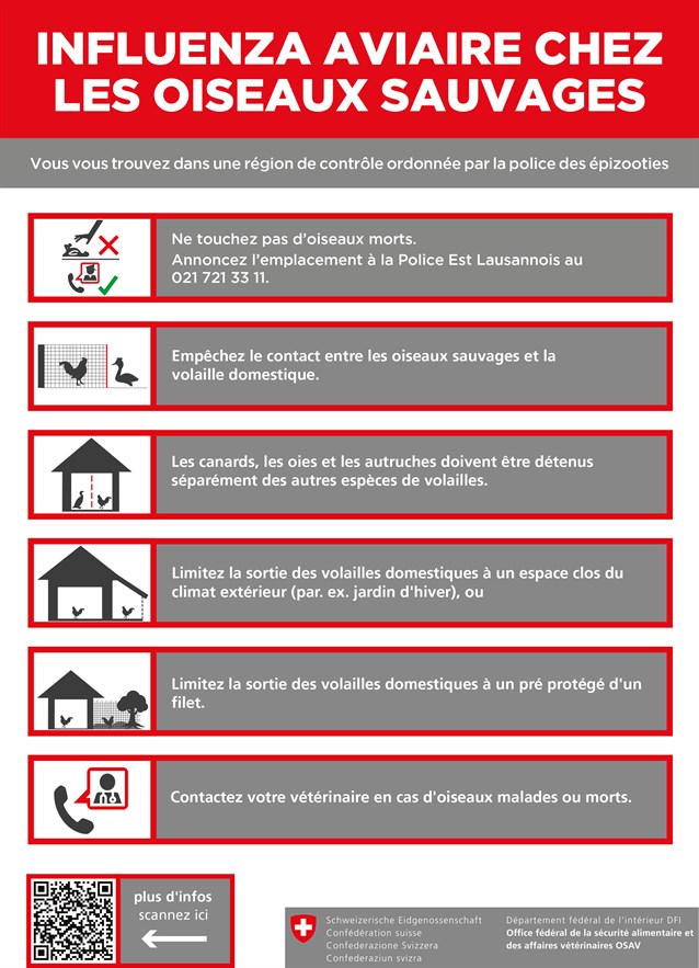 Affiche Region Observation Pully