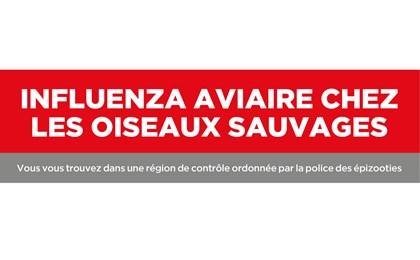 Cover Grippe Aviaire