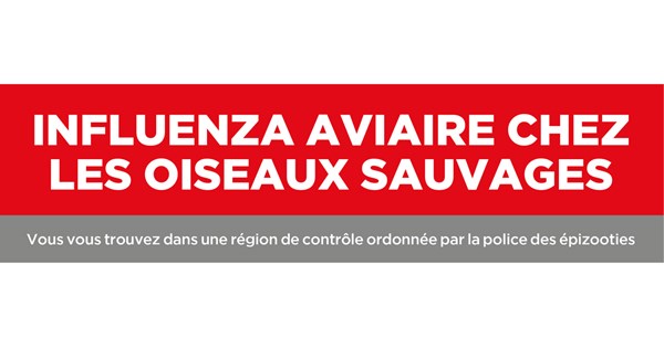 Cover Grippe Aviaire