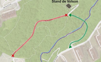 Cover Salamandre (1)