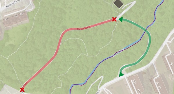 Cover Salamandre (1)