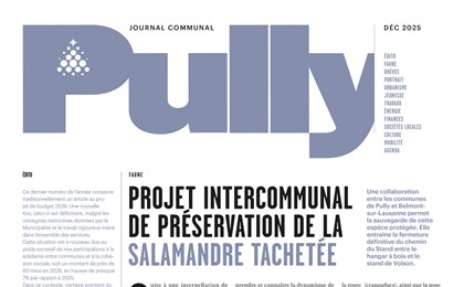 Journal Décembre 2025