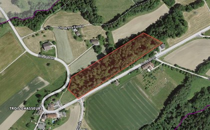 Cover Coupe De Bois Route Doron