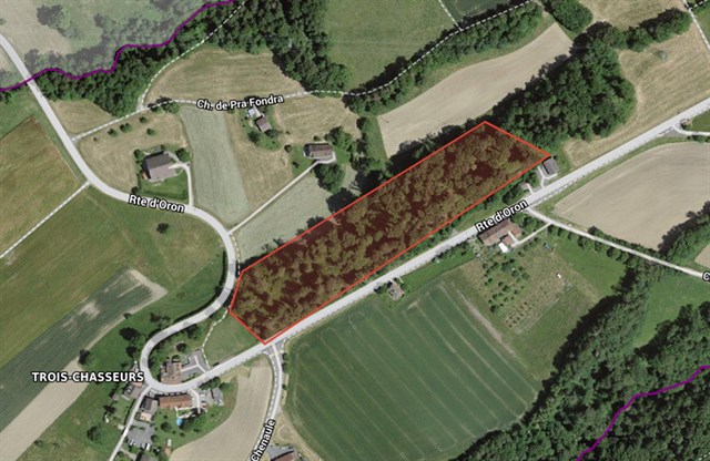 Cover Coupe De Bois Route Doron