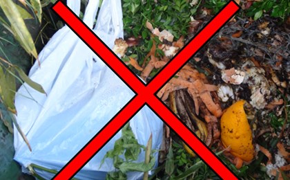 Sacs en plastique interdits dans les déchets verts