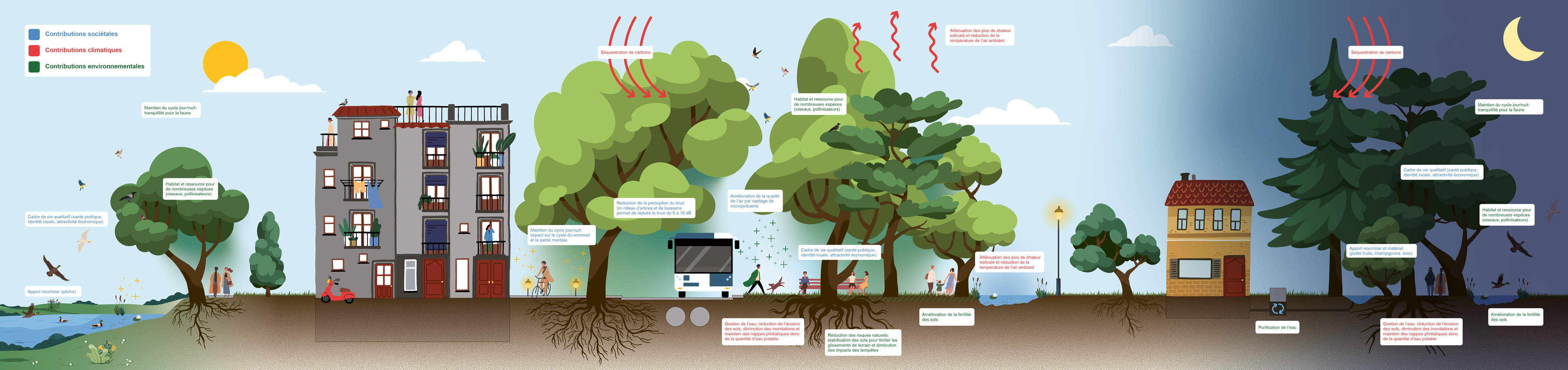 Strategie Reseau Vivant Pully V7 2